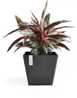Ecopots kunststof plantenbak rotterdam 30x30x26 cm donkergrijs     - afbeelding 6