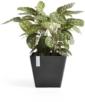 Ecopots kunststof plantenbak rotterdam 30x30x26 cm donkergrijs     - afbeelding 7