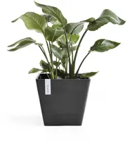 Ecopots kunststof plantenbak rotterdam 30x30x26 cm donkergrijs     - afbeelding 2