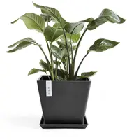 Ecopots kunststof plantenbak rotterdam 30x30x26 cm donkergrijs     - afbeelding 4