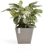 Ecopots kunststof plantenbak rotterdam 30x30x26 cm taupe     - afbeelding 7