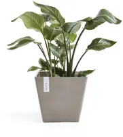 Ecopots kunststof plantenbak rotterdam 30x30x26 cm taupe     - afbeelding 2