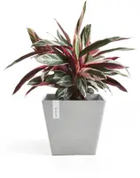 Ecopots kunststof plantenbak rotterdam 30x30x26 cm witgrijs     - afbeelding 5