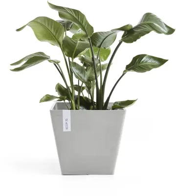 Ecopots kunststof plantenbak rotterdam 30x30x26 cm witgrijs     - afbeelding 2