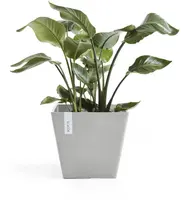Ecopots kunststof plantenbak rotterdam 30x30x26 cm witgrijs     - afbeelding 2