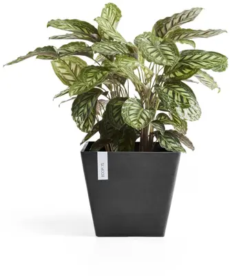 Ecopots kunststof plantenbak rotterdam 40x40x35 cm donkergrijs     - afbeelding 7
