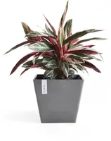 Ecopots kunststof plantenbak rotterdam 40x40x35 cm grijs     - afbeelding 5