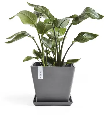 Ecopots kunststof plantenbak rotterdam 40x40x35 cm grijs     - afbeelding 4