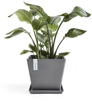 Ecopots kunststof plantenbak rotterdam 40x40x35 cm grijs     - afbeelding 4