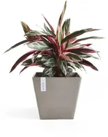 Ecopots kunststof plantenbak rotterdam 40x40x35 cm taupe     - afbeelding 6