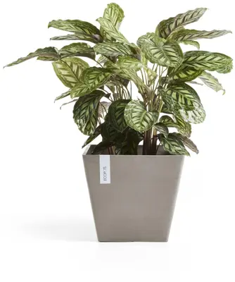 Ecopots kunststof plantenbak rotterdam 40x40x35 cm taupe     - afbeelding 7