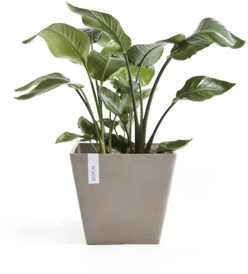 Ecopots kunststof plantenbak rotterdam 40x40x35 cm taupe     - afbeelding 2
