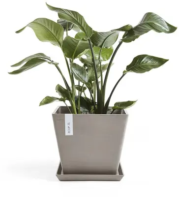Ecopots kunststof plantenbak rotterdam 40x40x35 cm taupe     - afbeelding 4