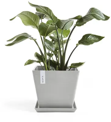 Ecopots kunststof plantenbak rotterdam 40x40x35 cm witgrijs     - afbeelding 4