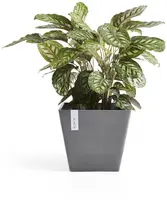Ecopots kunststof plantenbak rotterdam 50x50x43.5 cm grijs     - afbeelding 4