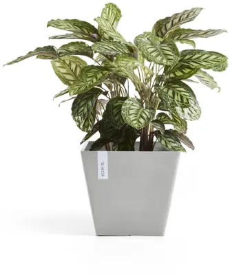 Ecopots kunststof plantenbak rotterdam 50x50x43.5 cm witgrijs     - afbeelding 4