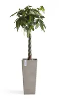 Ecopots kunststof plantenbak rotterdam hoog 32.7x32.7x70 cm taupe     - afbeelding 4