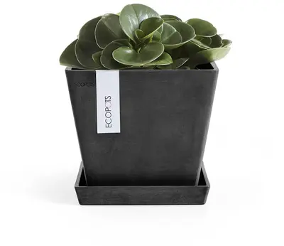 Ecopots kunststof rotterdam schotel 18x18x2.5 cm donkergrijs     - afbeelding 2