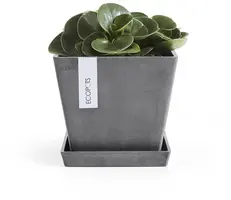 Ecopots kunststof rotterdam schotel 18x18x2.5 cm grijs     - afbeelding 2