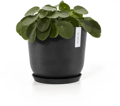 Ecopots kunststof schotel 21x2.5 cm donkergrijs     - afbeelding 3