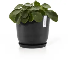Ecopots kunststof schotel 21x2.5 cm donkergrijs     - afbeelding 3