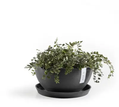 Ecopots kunststof schotel 21x2.5 cm donkergrijs     - afbeelding 5