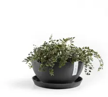 Ecopots kunststof schotel 21x2.5 cm donkergrijs     - afbeelding 5