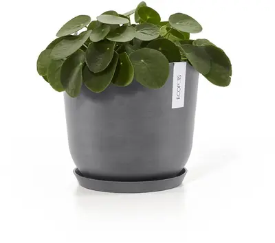 Ecopots kunststof schotel 21x2.5 cm grijs     - afbeelding 4