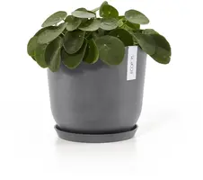 Ecopots kunststof schotel 21x2.5 cm grijs     - afbeelding 4