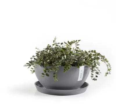 Ecopots kunststof schotel 21x2.5 cm grijs     - afbeelding 5
