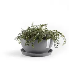 Ecopots kunststof schotel 21x2.5 cm grijs     - afbeelding 5