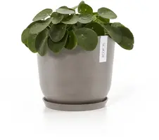 Ecopots kunststof schotel 21x2.5 cm taupe     - afbeelding 2
