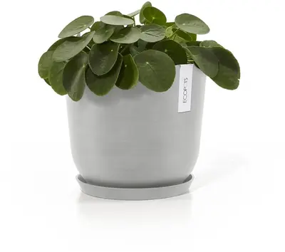 Ecopots kunststof schotel 21x2.5 cm witgrijs     - afbeelding 2