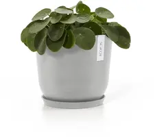 Ecopots kunststof schotel 21x2.5 cm witgrijs     - afbeelding 2
