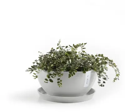 Ecopots kunststof schotel 21x2.5 cm witgrijs     - afbeelding 5