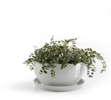 Ecopots kunststof schotel 21x2.5 cm witgrijs     - afbeelding 5