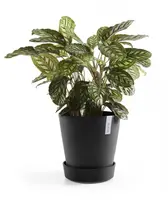 Ecopots kunststof schotel met wielen 28.7x8.3 cm donkergrijs     - afbeelding 5