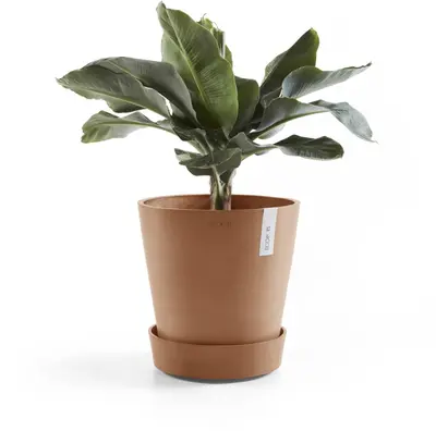 Ecopots kunststof schotel met wielen 28.7x8.3 cm terracotta     - afbeelding 9