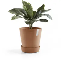 Ecopots kunststof schotel met wielen 28.7x8.3 cm terracotta     - afbeelding 9
