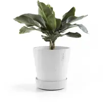 Ecopots kunststof schotel met wielen 41.6x9 cm puurwit     - afbeelding 7