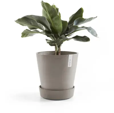 Ecopots kunststof schotel met wielen 41.6x9 cm taupe     - afbeelding 7
