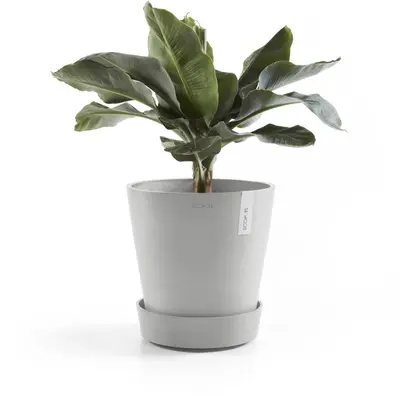 Ecopots kunststof schotel met wielen 41.6x9 cm witgrijs     - afbeelding 7