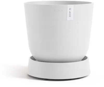 Ecopots kunststof schotel met wielen oslo schotel 32.2x8.5 cm puurwit     - afbeelding 4