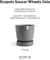 Ecopots kunststof schotel met wielen oslo schotel 50x10.5 cm grijs     - afbeelding 3