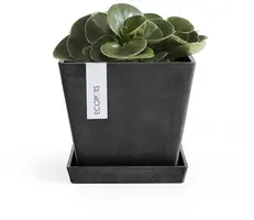 Ecopots kunststof schotel rotterdam schotel 18x18x2.5 cm donkergrijs     - afbeelding 2