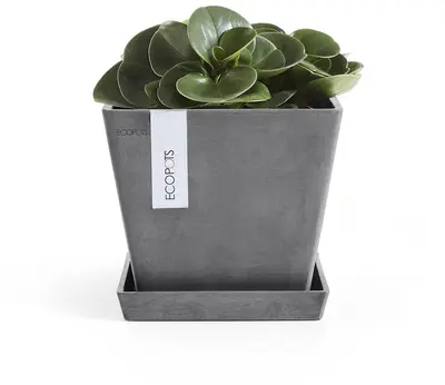 Ecopots kunststof schotel rotterdam schotel 18x18x2.5 cm grijs     - afbeelding 2