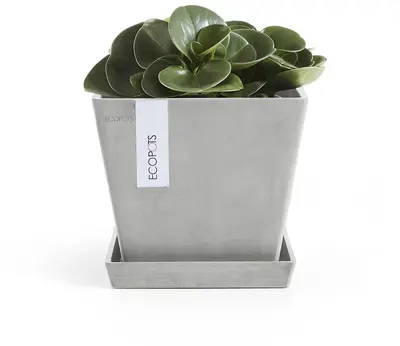 Ecopots kunststof schotel rotterdam schotel 18x18x2.5 cm witgrijs     - afbeelding 2