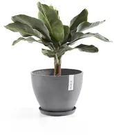 Ecopots kunststof schotel stockholm schotel 28.7x3 cm grijs     - afbeelding 3