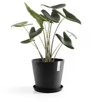 Ecopots kunststof schotel stockholm schotel 36.5x3.5 cm donkergrijs     - afbeelding 2