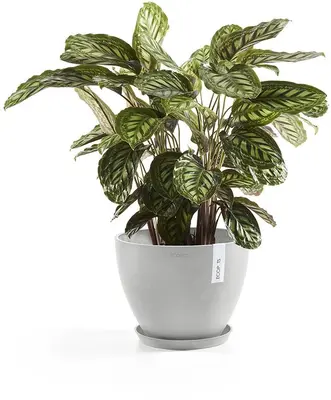 Ecopots kunststof schotel stockholm schotel 36.5x3.5 cm witgrijs     - afbeelding 4